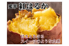 紅はるか 秀品 約5kg