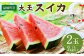 益城町産 スイカ 大玉 7kg以上×2玉