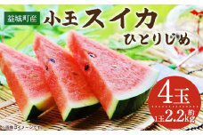 益城町産 スイカ 小玉 ひとりじめ  4玉 9kg以上 【2024年5月下旬～6月上旬発送予定】