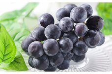 巨峰 約1.2kg 4パック 種なし 【2024年7月上旬-8月下旬発送予定】