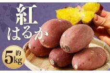 紅はるか 約5kg サツマイモ さつま芋 芋 野菜 いも 熊本県産 【2024年9月上旬-2025年7月上旬発送予定】