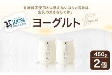 石坂ファーム の 生乳 100％ ヨーグルト 450g×2個 合計900g 甘味料不使用 デザート 乳製品