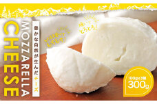 KUMAMOTO モッツァレラ 3個セット 300g（100g×3個）チーズ 生乳 乳製品