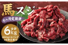 【6ヶ月定期便】 馬スジ 約1kg（500g×2パック） 計約6kg 馬肉 肉 馬すじ スジ 煮込み 熊本飼育 冷凍 定期便