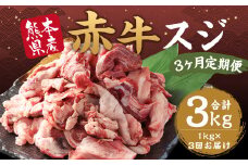 【3ヶ月定期便】 赤牛 スジ 約1kg 計約3kg 牛肉 肉 あか牛 牛スジ 牛すじ 煮込み カレー 熊本県産 冷凍 定期便
