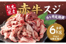 【6ヶ月定期便】 赤牛 スジ 約1kg 計約6kg 牛肉 肉 あか牛 牛スジ 牛すじ 煮込み カレー 熊本県産 冷凍 定期便