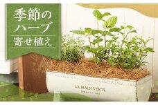 季節のハーブ寄せ植え ハーブ 苗 植物 プラント 園芸 ガーデニング インテリア お家時間 癒し 寄せ植え 熊本 益城町