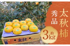 太秋柿 秀品 約3kg（約8～14個） ブランド柿 柿 かき たいしゅうかき 甘柿 フルーツ スイーツ くだもの 果物 果実 秋 旬 益城町産 【2024年10月下旬～11月下旬発送予定】