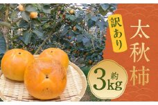 太秋柿 訳あり 約3kg（約8～14個） ブランド柿 柿 かき たいしゅうかき 甘柿 フルーツ スイーツ くだもの 果物 果実 秋 旬 益城町産 【2024年10月下旬～11月下旬発送予定】