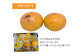太秋柿 訳あり 約3kg（約8～14個）