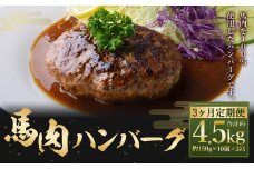 C39Z3【定期便3回】 馬肉ハンバーグ 約150g×10個 合計約4.5kg 馬肉100% ハンバーグ 熊本 冷凍 馬肉 馬 肉 惣菜 おかず