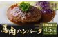 C39Z3【定期便3回】 馬肉ハンバーグ 約150g×10個 合計約4.5kg