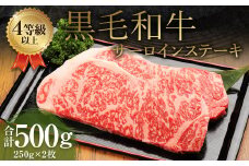 くまもと 黒毛和牛 サーロインステーキ 500g（250g×2枚）牛肉 牛 肉