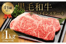 くまもと 黒毛和牛 サーロインステーキ 1.0kg（250g×4枚）牛肉 牛 肉