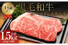 くまもと 黒毛和牛 サーロインステーキ 1.5kg（250g×6枚）牛肉 牛 肉
