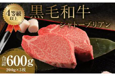 くまもと 黒毛和牛 シャトーブリアン 600g（200g×3枚）牛肉 牛 肉