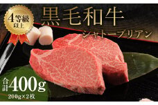 くまもと 黒毛和牛 シャトーブリアン 400g（200g×2枚）牛肉 牛 肉