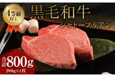 くまもと 黒毛和牛 シャトーブリアン 800g（200g×4枚）牛肉 牛 肉