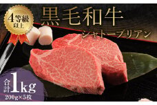 くまもと 黒毛和牛 シャトーブリアン 1.0kg（200g×5枚）牛肉 牛 肉