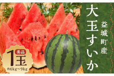 大玉すいか 秀品 1玉 約6kg〜9kg 送料無料 スイカ すいか 益城町産 お取り寄せ お取り寄せグルメ 西瓜 フルーツ 【2025年5月下旬～7月下旬発送予定】