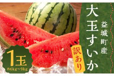 訳あり 大玉すいか 1玉 約6kg〜9kg 送料無料 スイカ すいか 益城町産 お取り寄せ お取り寄せグルメ 西瓜 フルーツ 【2025年5月下旬～7月下旬発送予定】