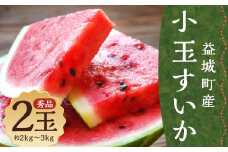 小玉すいか 秀品 2玉 約2～3kg 送料無料 スイカ すいか 益城町産 お取り寄せ お取り寄せグルメ 西瓜 フルーツ 【2025年5月下旬～7月下旬発送予定】