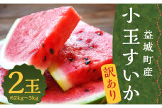 訳あり 小玉すいか 2玉 約2～3kg 送料無料 熊本すいか すいか 西瓜 ひとりじめ 果物 フルーツ 【2025年5月下旬～7月下旬発送予定】