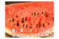 訳あり 小玉すいか 2玉 約2～3kg