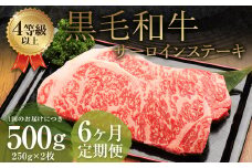 【6ヶ月定期便】くまもと黒毛和牛 サーロインステーキ 500g（250g×2枚） 牛肉 牛 肉