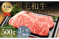 【3ヶ月定期便】くまもと黒毛和牛 サーロインステーキ 500g（250g×2枚） 牛肉 牛 肉
