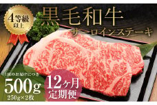 【12ヶ月定期便】くまもと黒毛和牛 サーロインステーキ 500g（250g×2枚） 牛肉 牛 肉