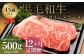 【12ヶ月定期便】くまもと黒毛和牛サーロインステーキ 500g（250g×2枚）