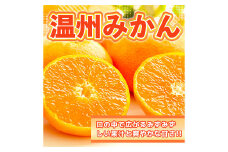 温州みかん 約5kg 2S～2L みかん 果物 くだもの 旬 益城町産【2024年12月上旬まで発送予定】