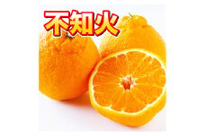 不知火 約7kg デコポン 果物 くだもの 旬 益城町産【2025年2月上旬-4月上旬発送予定】