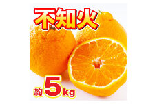 不知火 約5kg デコポン 果物 くだもの 旬 益城町産【2025年2月上旬-4月上旬発送予定】