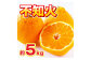 不知火 約5kg デコポン 果物 くだもの 旬 益城町産【2025年2月上旬-4月上旬発送予定】