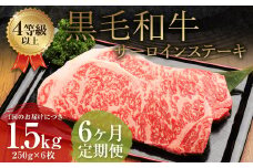 【6ヶ月定期便】 くまもと 黒毛和牛 サーロインステーキ 1.5kg（250g×6枚）牛肉 牛 肉