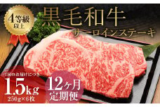 【12ヶ月定期便】 くまもと 黒毛和牛 サーロインステーキ 1.5kg（250g×6枚）牛肉 牛 肉