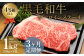 【3ヶ月定期便】くまもと黒毛和牛サーロインステーキ 1.0kg（250g×4枚）