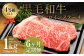 【6ヶ月定期便】くまもと黒毛和牛サーロインステーキ 1.0kg（250g×4枚）