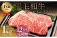 【12ヶ月定期便】くまもと黒毛和牛サーロインステーキ 1.0kg（250g×4枚）