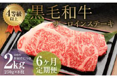 【6ヶ月定期便】 くまもと 黒毛和牛 サーロインステーキ 2.0kg（250g×8枚） 牛肉 牛 肉