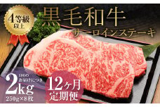 【12ヶ月定期便】 くまもと 黒毛和牛 サーロインステーキ 2.0kg（250g×8枚） 牛肉 牛 肉