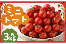ミニトマト (3kg) トマト
