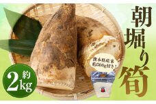 【数量限定】朝堀り 筍 2kg 熊本県産米(約500g)付き【2025年3月上旬-4月下旬発送予定】
