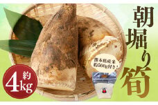 【数量限定】朝堀り 筍 4kg 熊本県産米（約500g）付き【2025年3月上旬-4月下旬発送予定】