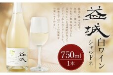 益城ワイン（白）750ml 1本 ワイン 白ワイン シャルドネ