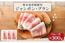 熊本県産 ハム 3個セット 100g×3個 計300g ジャンボンブラン はむ 豚 肉 スライス おつまみ 惣菜