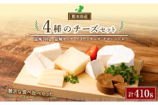4種の チーズ セット 益城100g 益城ヤング100g 益城ブラウンチーズ60g クマンベール150g 各1個 計410g 生乳 乳製品 おつまみ おやつ