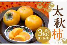 太秋柿 約3kg（8～16玉）柿 カキ 果物【2025年10月上旬～11月上旬発送予定】